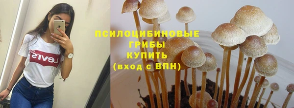 mix Алексеевка