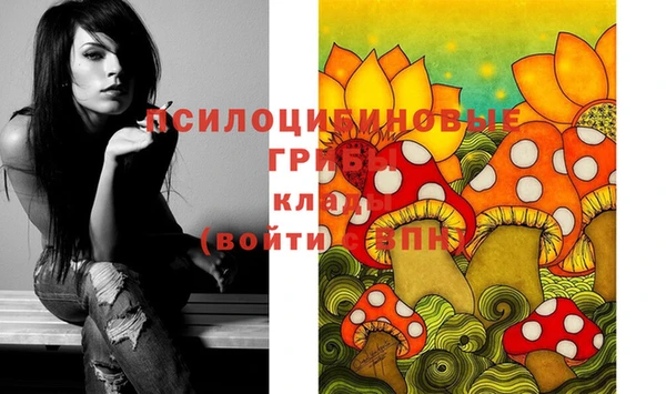 прущие крисы Алексин